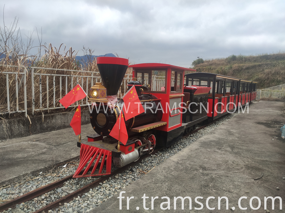 sightseeing train on hill